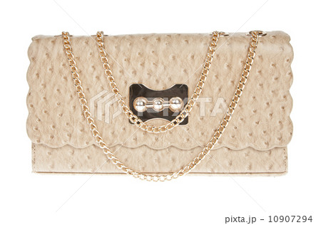 Brown leather bag, ostrich skin isolated on white 10907294