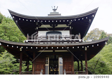 勧修寺建創物 10909440