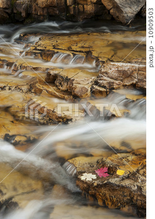 Water flowing over rocks on the Provo River in the Uinta mountains.  10909503