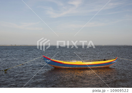 A traditional moliceiros fishing boat with high prow, painted in vivid colours, moored offshore at Torreira. 10909522