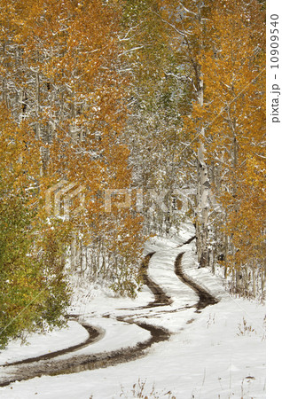 A road in the Uinta Mountains, with light snow on the ground.  10909540