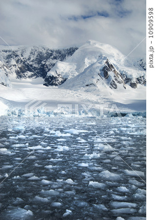 Mountains and snowy landscape reflected in calm sea water. Ice floes on the water. 10909598