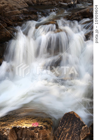 Upper Provo River Falls and water cascading over rocks, in the Uinta Mountains in Utah.  10909604