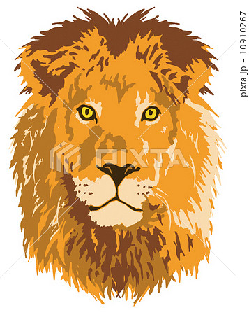 ライオンのイラスト素材