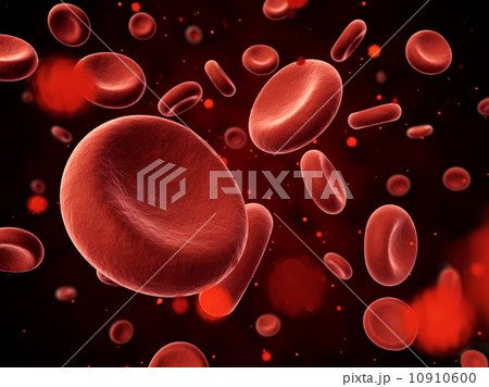 Erythrocyte Erythrocyte 10910600