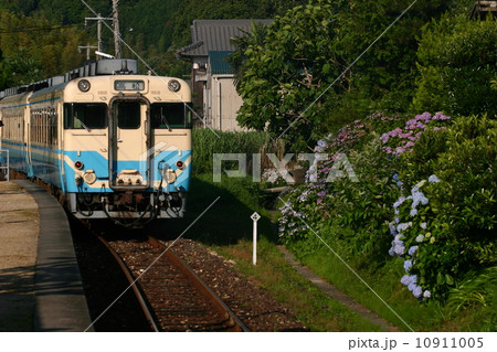 紫陽花咲く讃岐財田 10911005