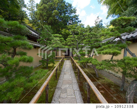 大徳寺 高桐院の新緑 10912338
