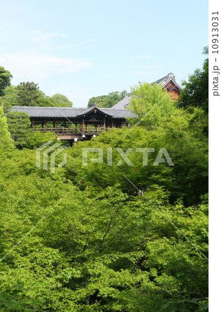 京都　東福寺　洗玉澗 10913031