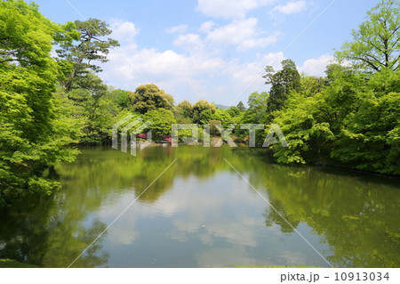京都　仙洞御所　北池 10913034