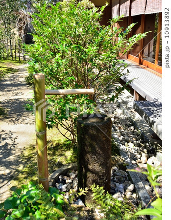 掛川城の二の丸茶室の庭（静岡県掛川市） 10913892