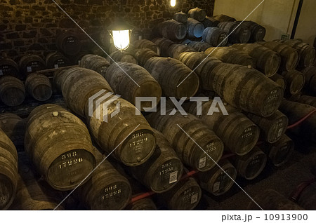 Port wine cellar in Vila Nova de Gaia, Portugal 10913900