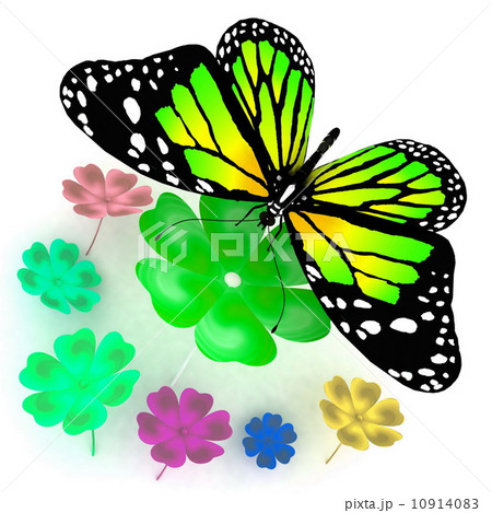 Butterfly and flowers on white background Butterfly and flowers on white background 10914083