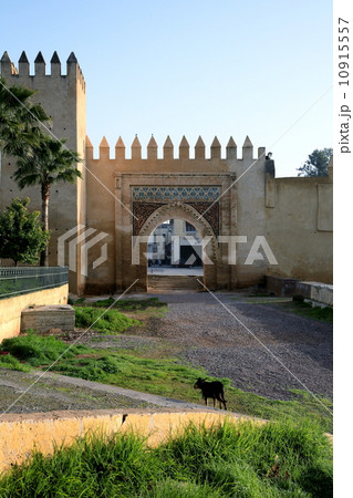 フェズ フェズ 10915557