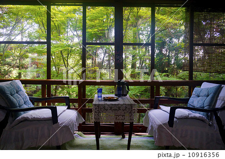 緑あふれる避暑地の縁側 10916356