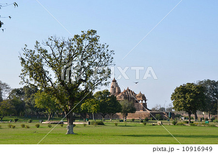 カジュラーホーのチトラグプタ寺院とマホガニーの木 カジュラーホーのチトラグプタ寺院とマホガニーの木 10916949