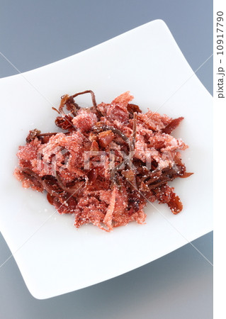 さくら茶 10917790