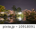 夜桜　佐賀市神野公園 10918091