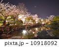 夜桜 10918092