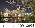 夜桜 10918094