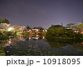夜桜 10918095