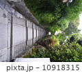 京都　町並み 10918315