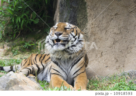 きもちーい 10918593