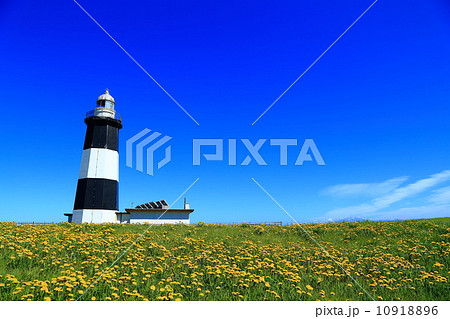 能取岬の灯台 10918896