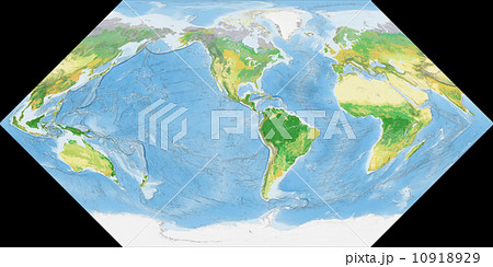 世界植生地図 10918929