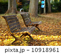 晩秋の公園 10918961