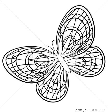 Butterfly, contours Butterfly, contours 10919367