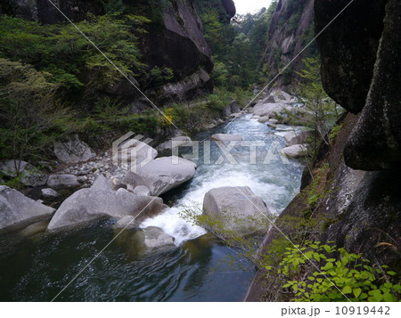 川 10919442