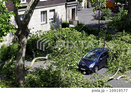 暴風雨　被害 10919577