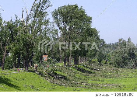 暴風雨　被害 10919580