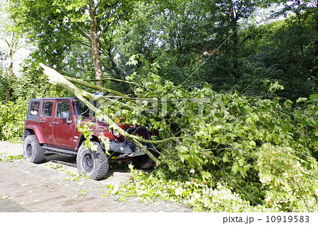 暴風雨　被害 10919583