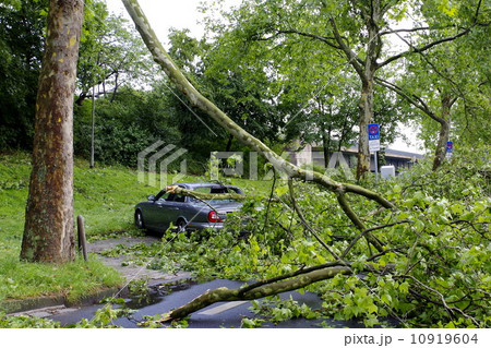 暴風雨　被害 10919604