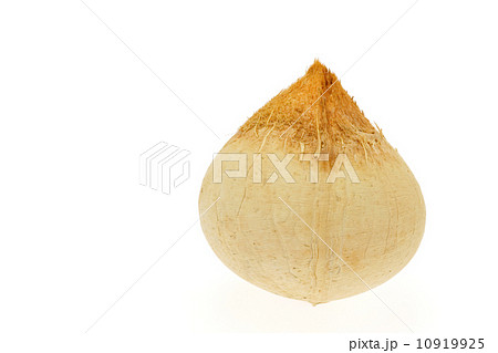 ヤングココナッツ 10919925