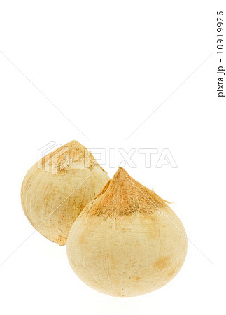 ヤングココナッツ 10919926