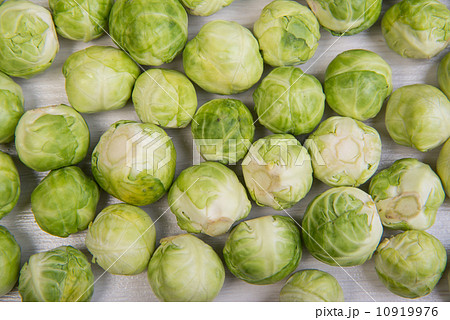 cabbage  10919976