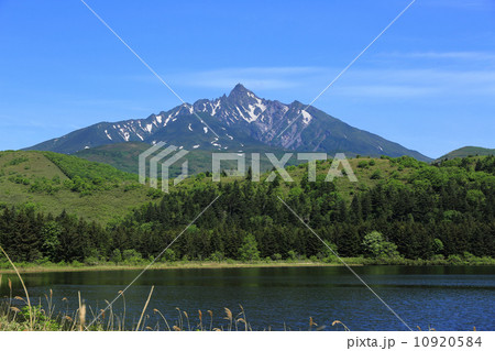 オタトマリ沼から望む利尻山 10920584