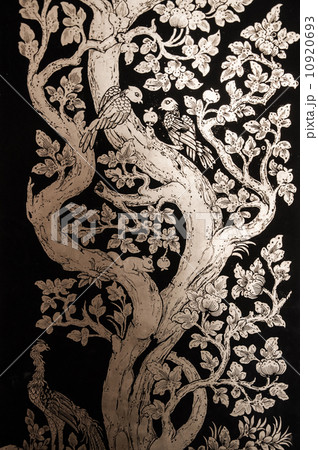 ancient wood and metal background ancient wood and metal background 10920693