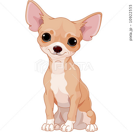 Chihuahuaのイラスト素材