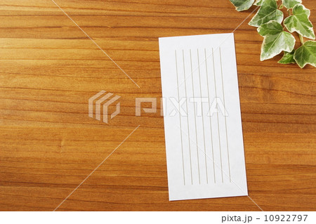 植物と一筆箋 【ナチュラルテイスト】【コピースペース】 植物と一筆箋 【ナチュラルテイスト】【コピースペース】 10922797