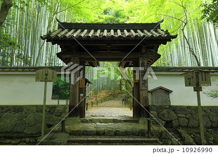 京都 地蔵院の山門 京都 地蔵院の山門 10926990