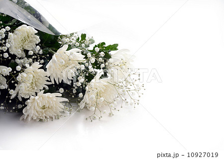 白菊の花束の写真素材