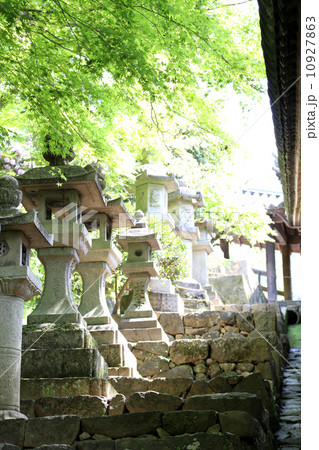 夏の長谷寺の灯籠 10927863