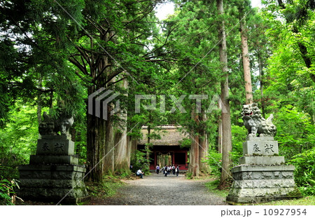 長野県 パワースポット 戸隠神社 奥社の参道の写真素材