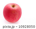 林檎 10928050