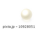 真珠 10928051