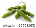 シシトウの収穫 10928053