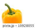 黄パプリカ 10928055